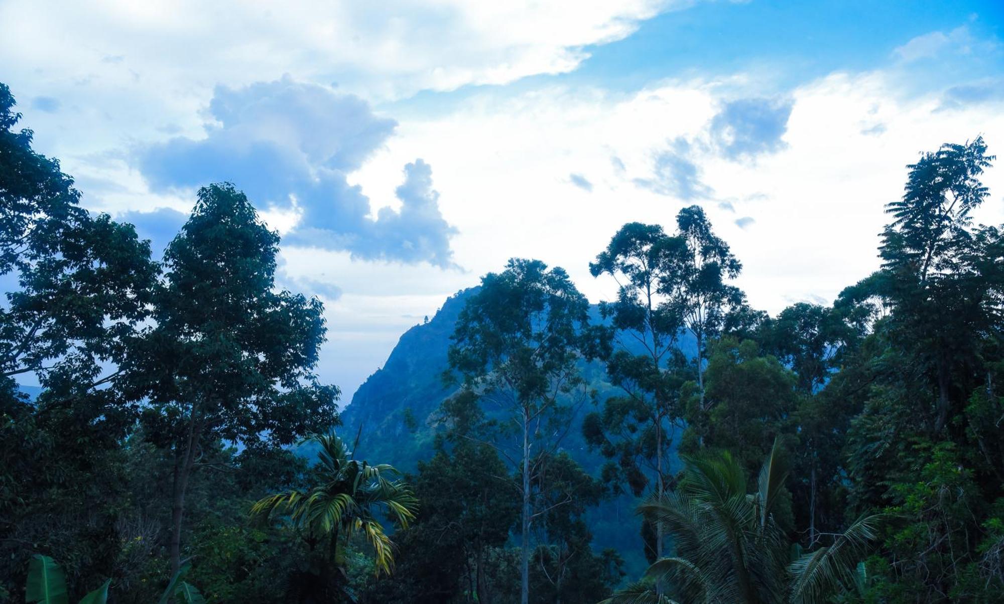 Eco Salient View Bed & Breakfast เอลลา ภายนอก รูปภาพ