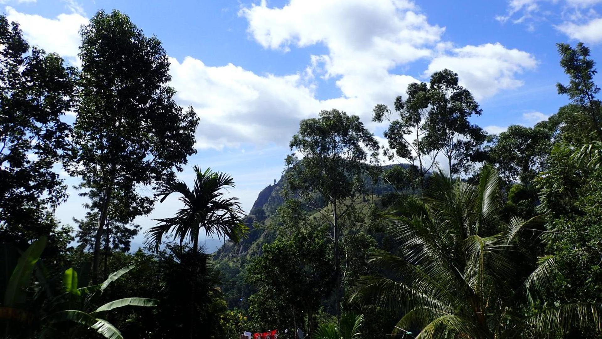 Eco Salient View Bed & Breakfast เอลลา ภายนอก รูปภาพ